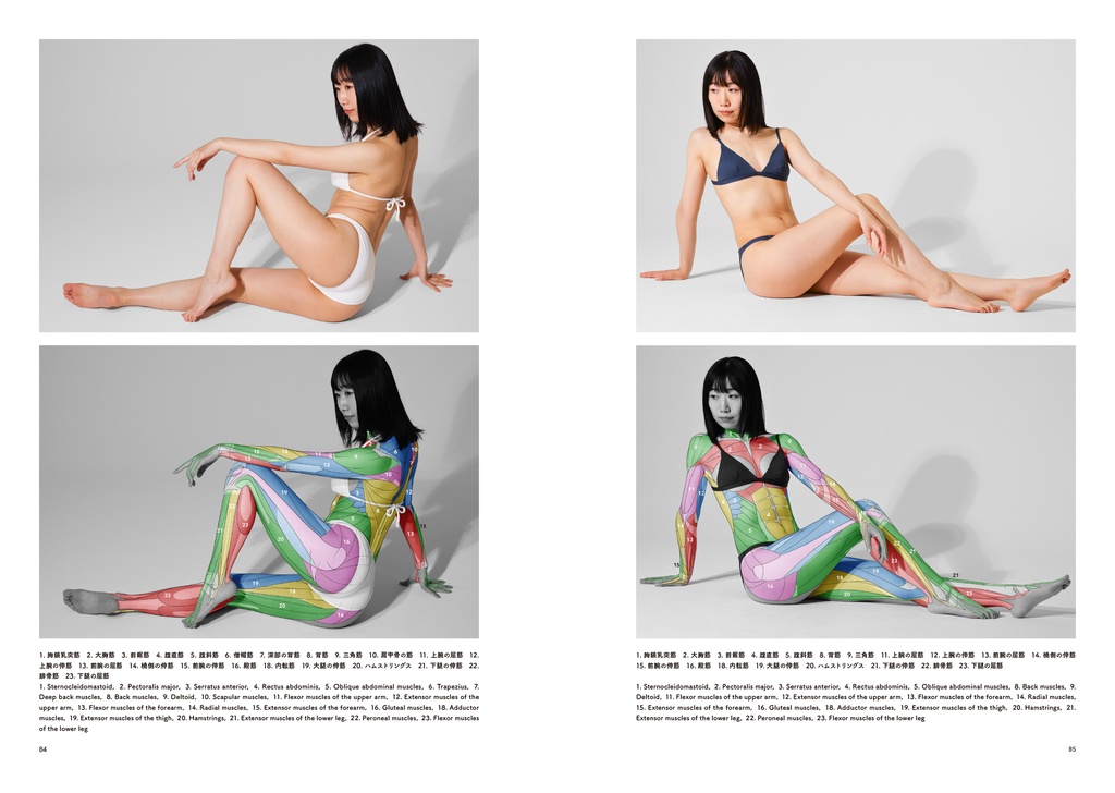 アーティストのための体表解剖学5(PDF)