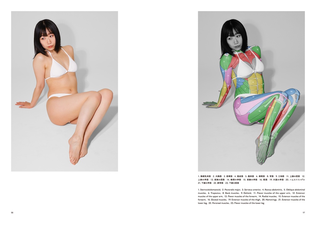 アーティストのための体表解剖学5(PDF)
