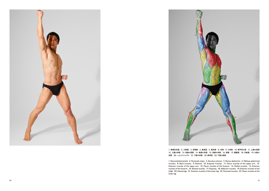 アーティストのための体表解剖学6(PDF)