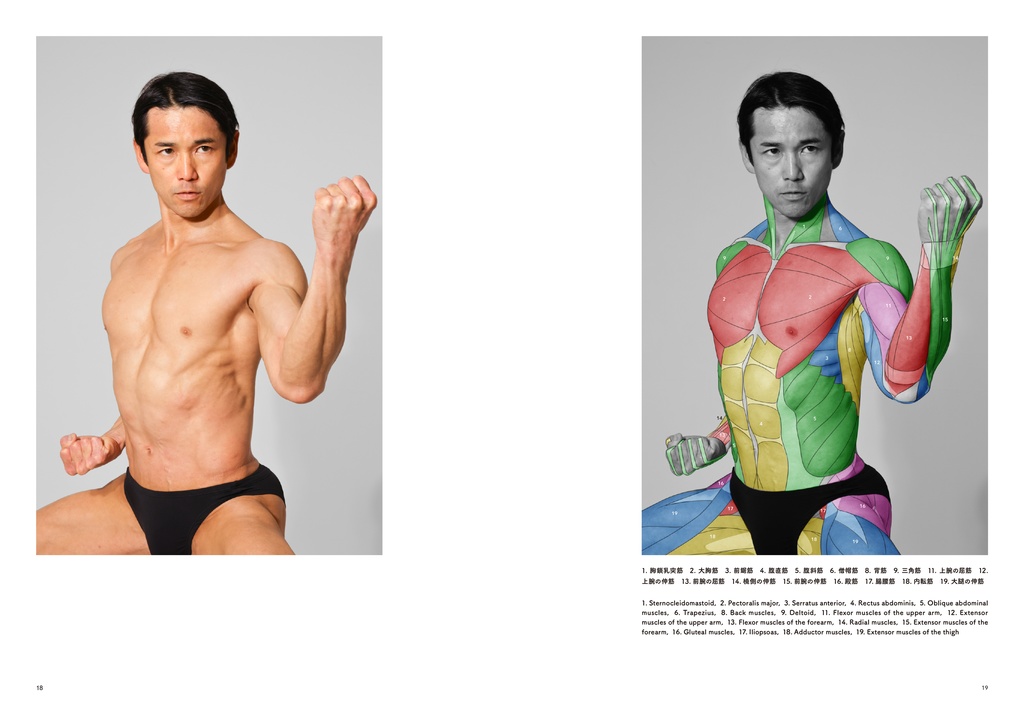 アーティストのための体表解剖学6(PDF)