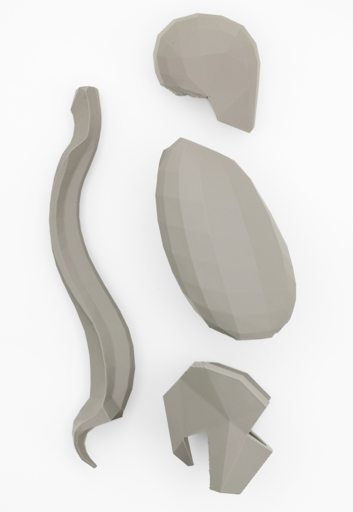 ローポリゴン骨格模型:体幹ver2(グレー)