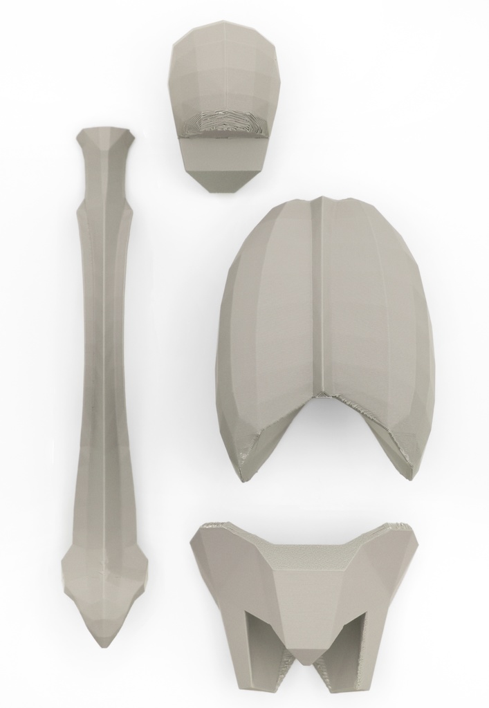 ローポリゴン骨格模型:体幹ver2(グレー)