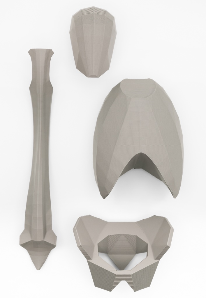 ローポリゴン骨格模型:体幹ver2(グレー)