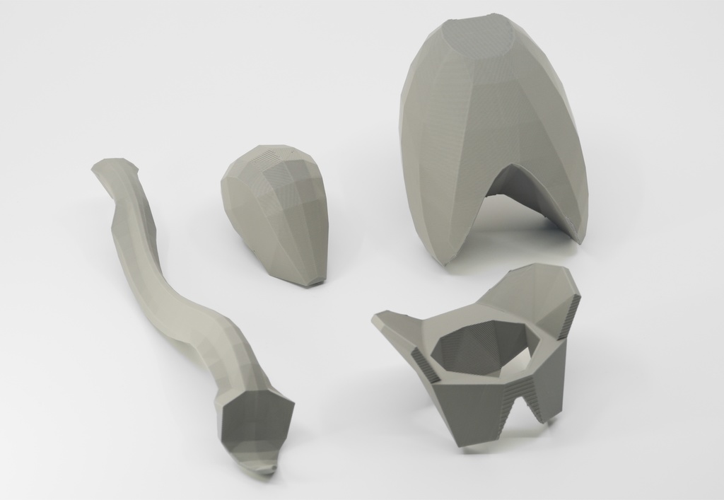 ローポリゴン骨格模型:体幹ver2(グレー)