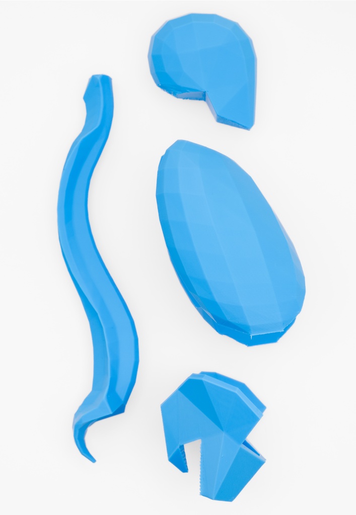 ローポリゴン骨格模型:体幹ver2(ブルー)