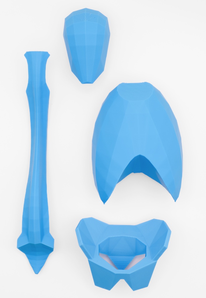 ローポリゴン骨格模型:体幹ver2(ブルー)