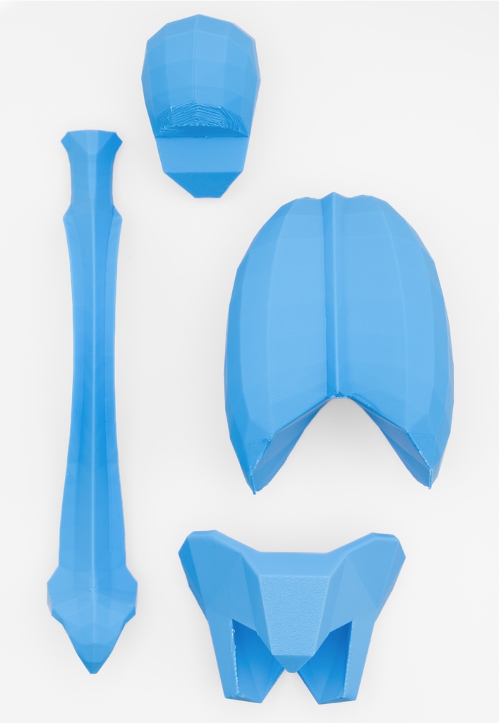 ローポリゴン骨格模型:体幹ver2(ブルー)