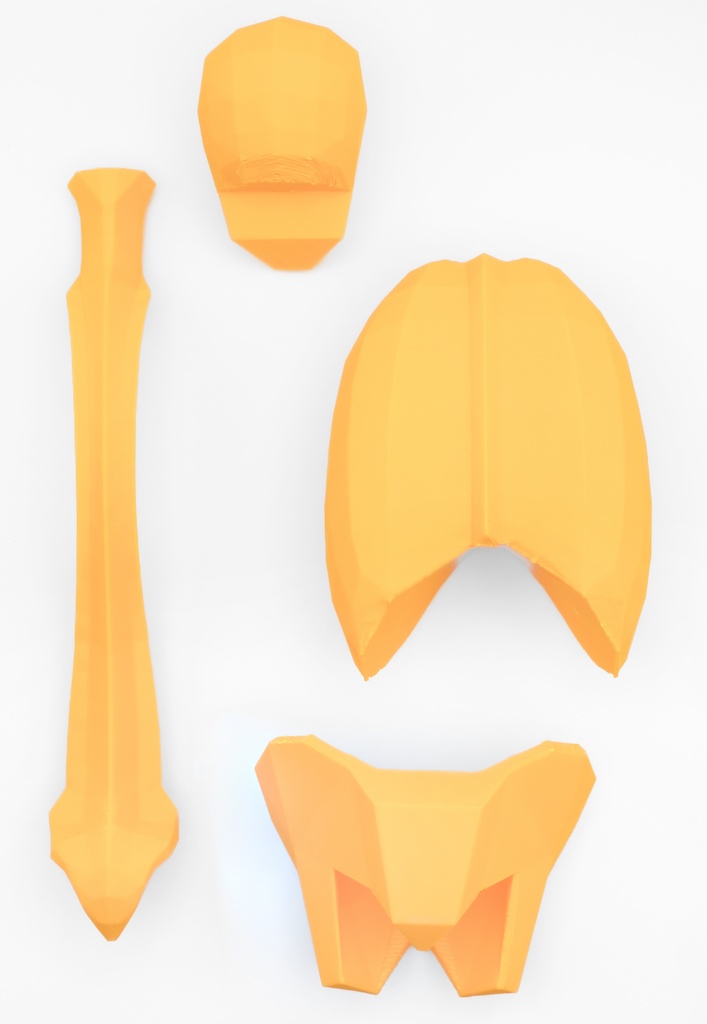 ローポリゴン骨格模型:体幹ver2(イエロー)