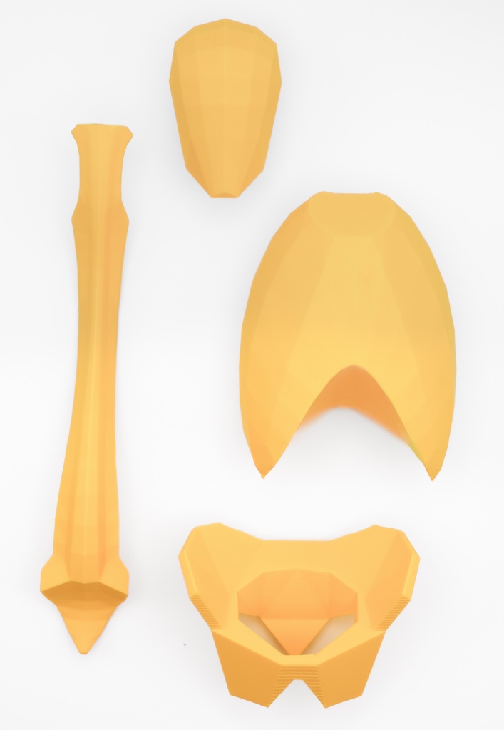 ローポリゴン骨格模型:体幹ver2(イエロー)