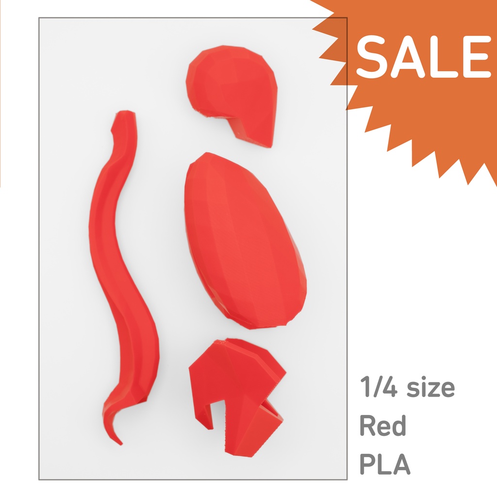 ローポリゴン骨格模型：体幹ver2（レッド）