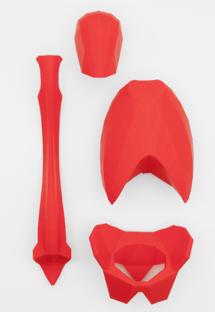 ローポリゴン骨格模型:体幹ver2(レッド)