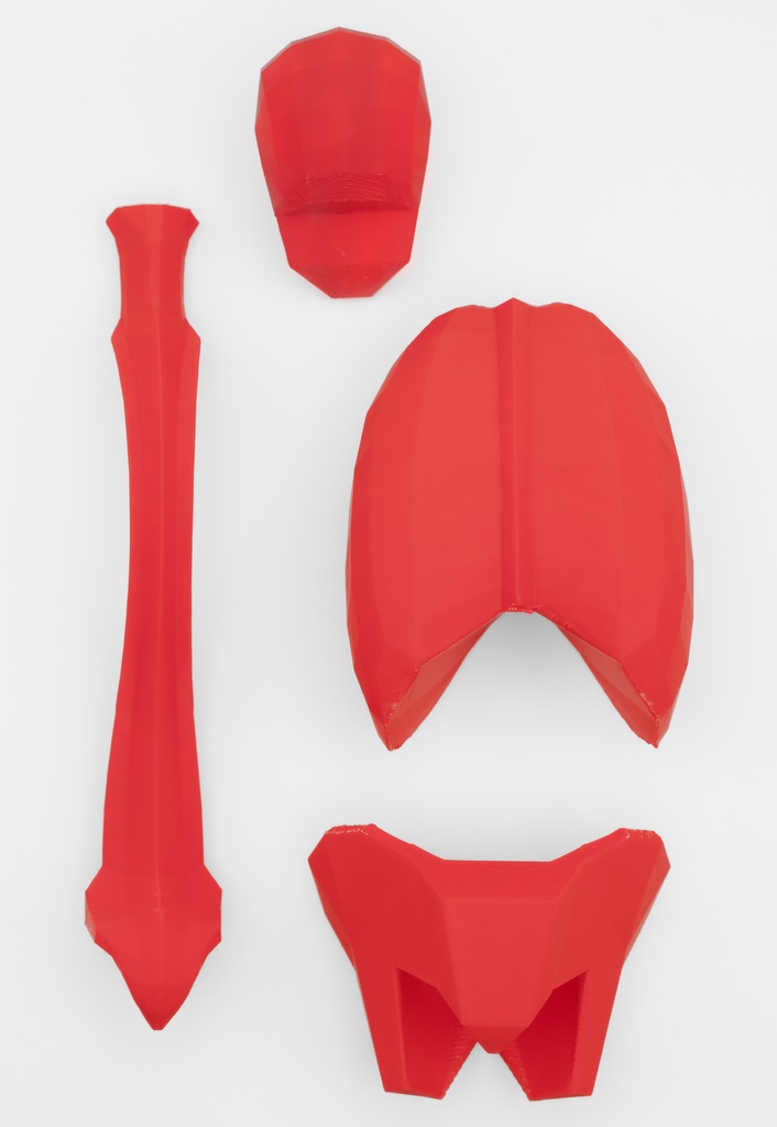 ローポリゴン骨格模型:体幹ver2(レッド)