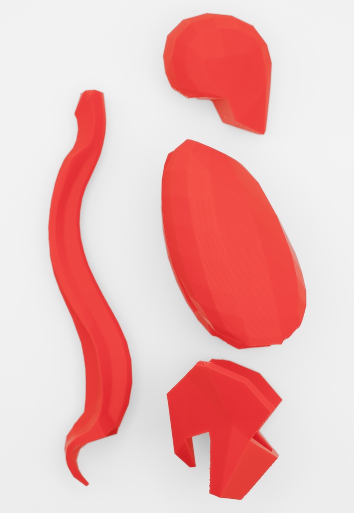 ローポリゴン骨格模型:体幹ver2(レッド)