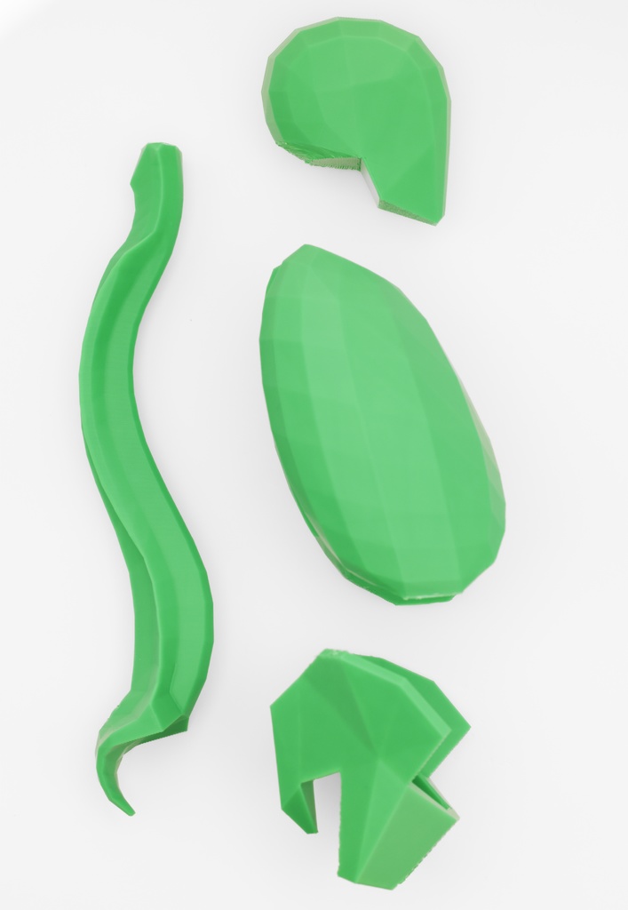 ローポリゴン骨格模型:体幹ver2(グリーン)