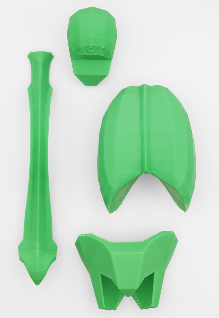 ローポリゴン骨格模型:体幹ver2(グリーン)