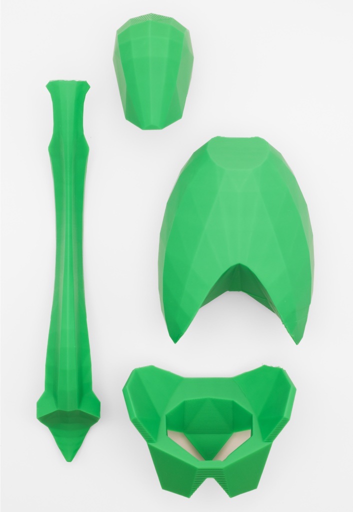 ローポリゴン骨格模型:体幹ver2(グリーン)