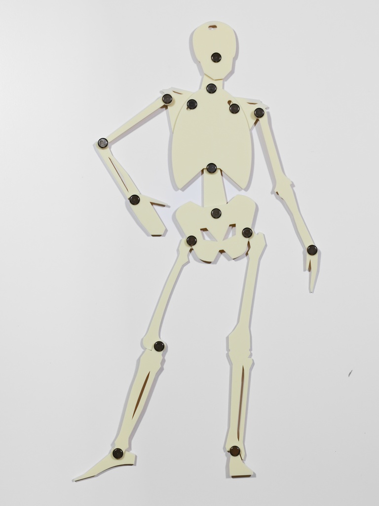 骨格テンプレート(正面)