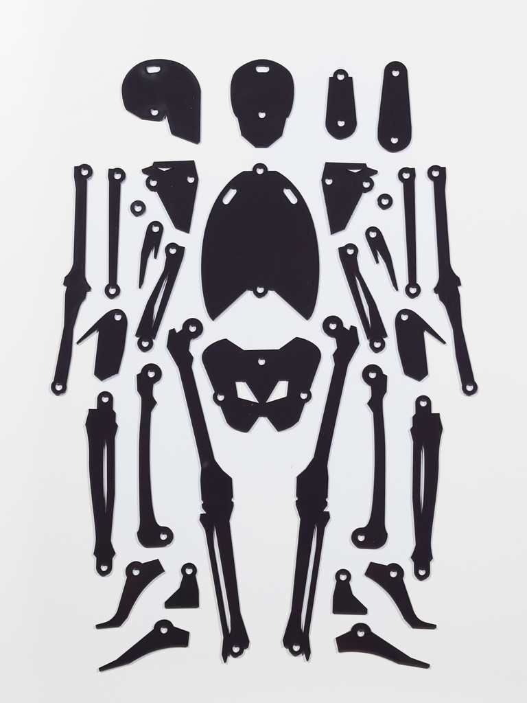 骨格テンプレート(正面)