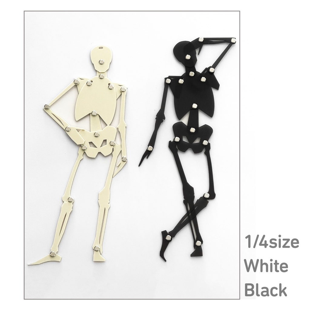 骨格テンプレート（正面）