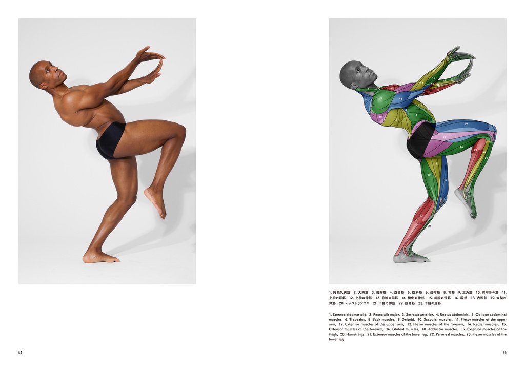アーティストのための体表解剖学7(PDF)