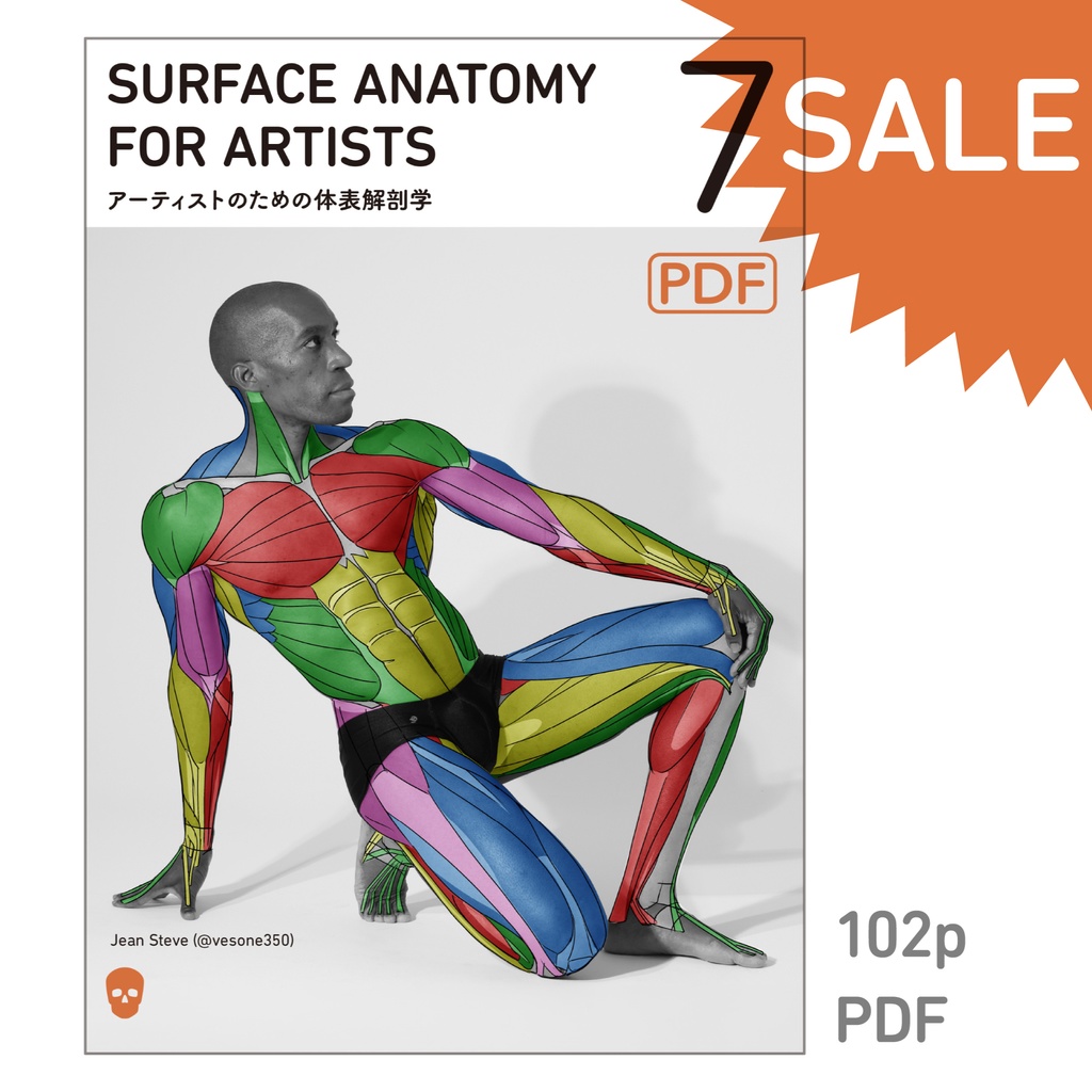 アーティストのための体表解剖学7(PDF)