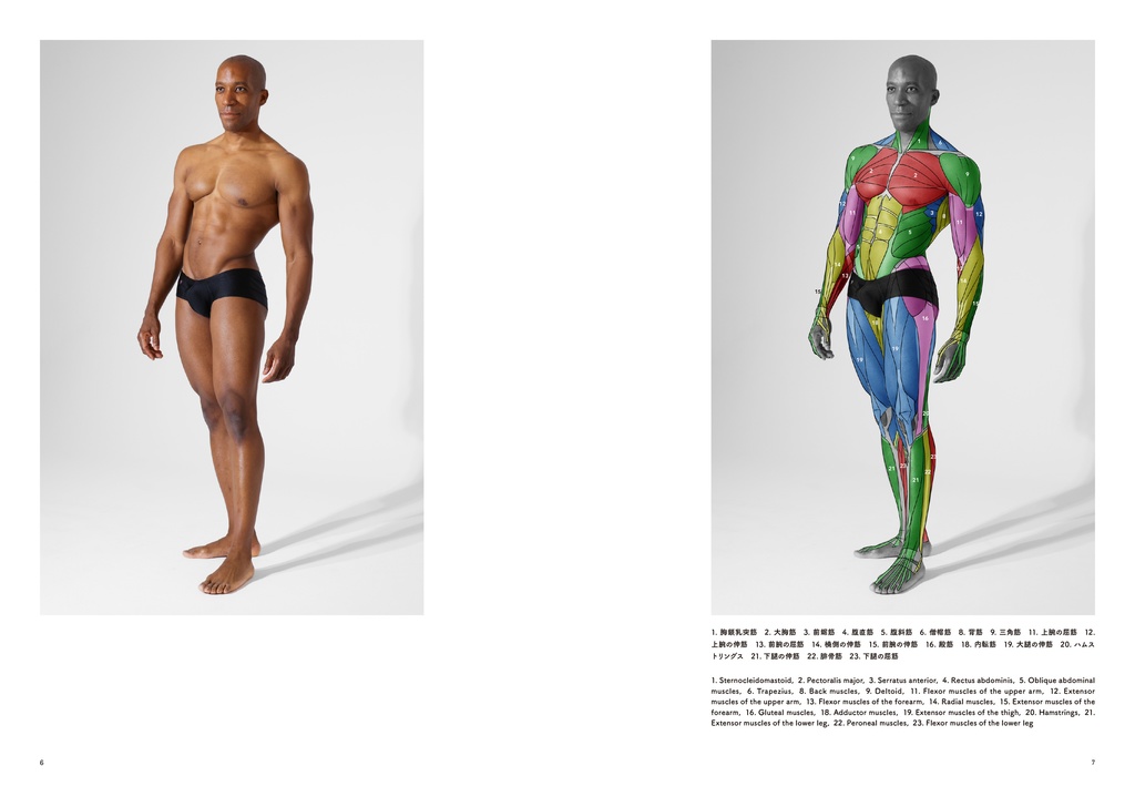 アーティストのための体表解剖学7(PDF)
