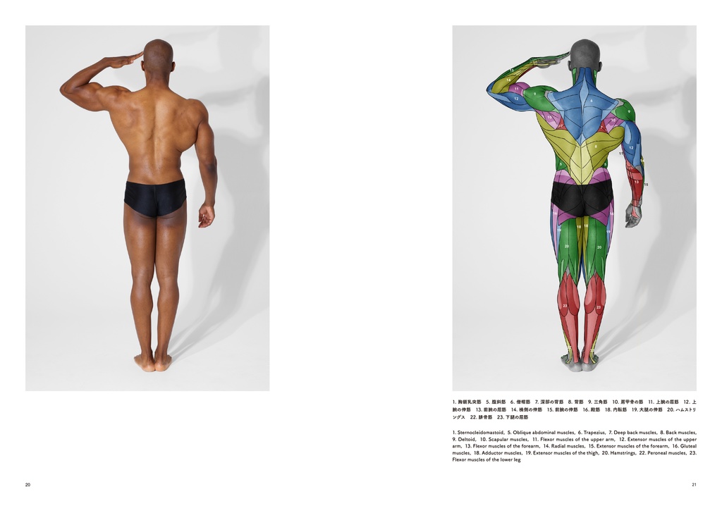 アーティストのための体表解剖学7(PDF)