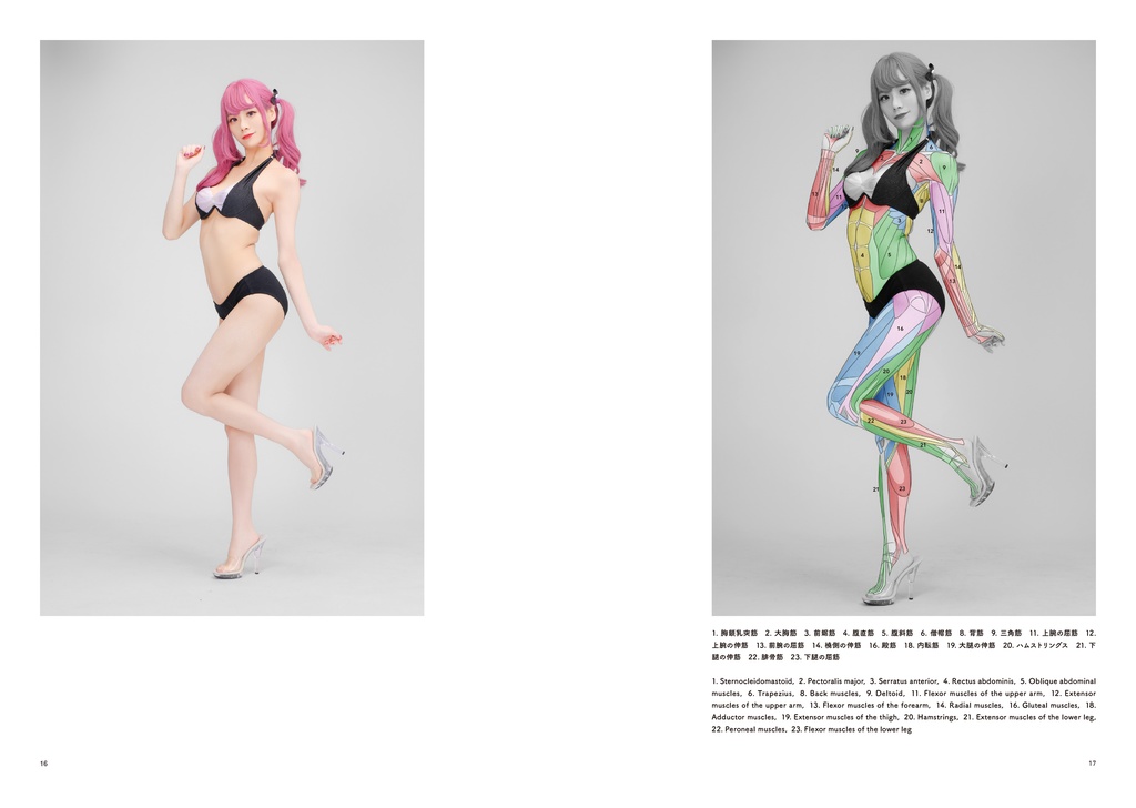アーティストのための体表解剖学8(PDF)