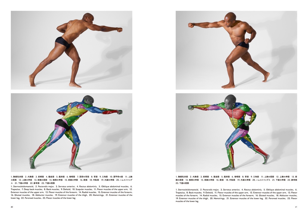 アーティストのための体表解剖学7(冊子)