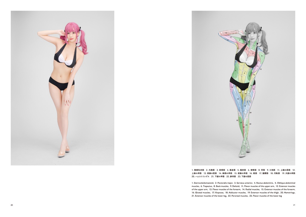 アーティストのための体表解剖学8(冊子)