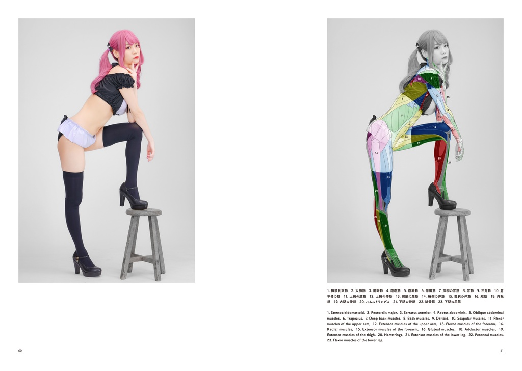 アーティストのための体表解剖学8(冊子)