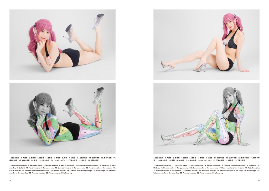 アーティストのための体表解剖学8(冊子)