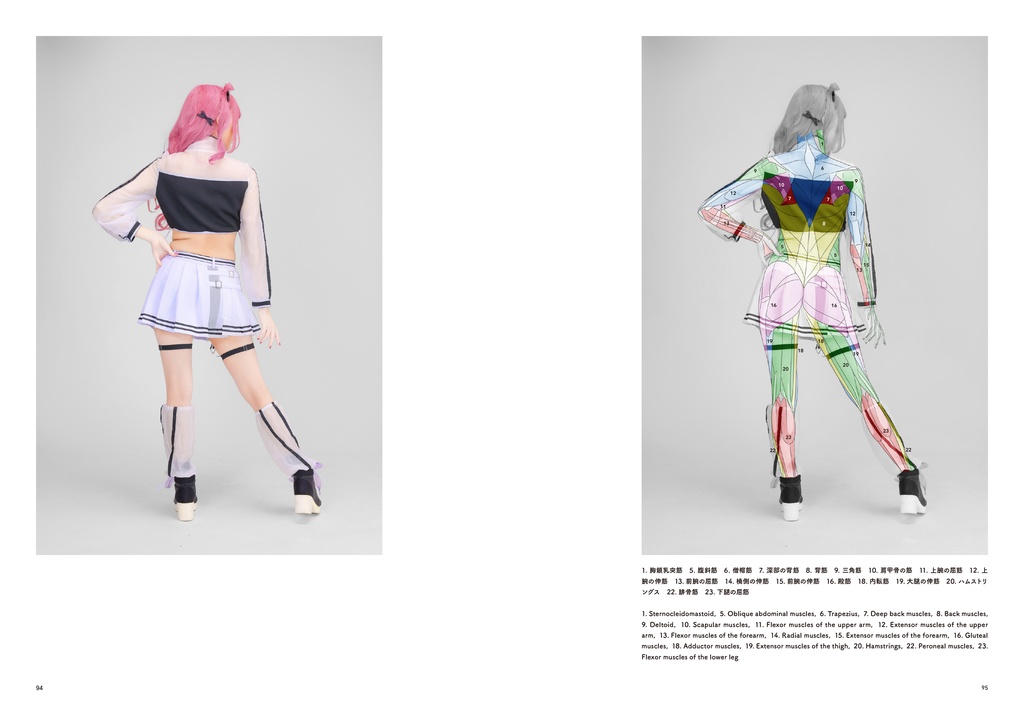 アーティストのための体表解剖学8(冊子)