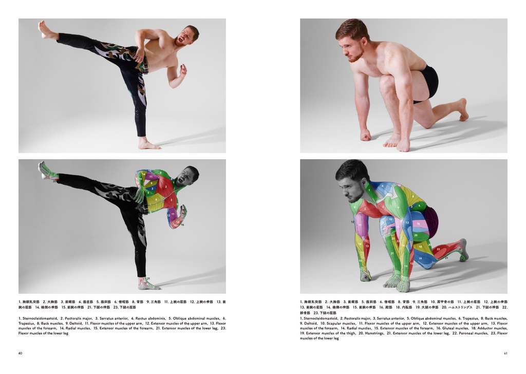 アーティストのための体表解剖学9(PDF)