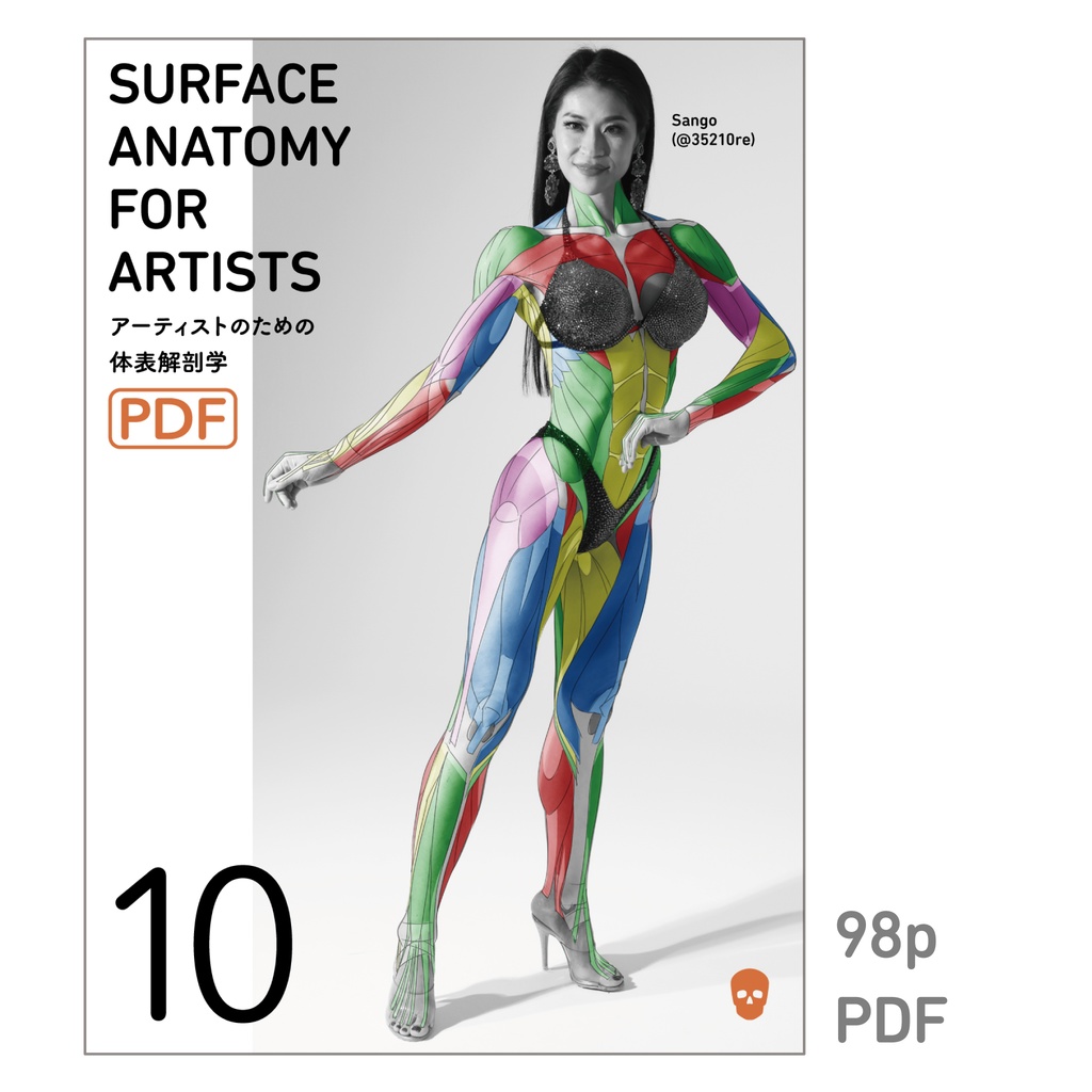 アーティストのための体表解剖学10（PDF）