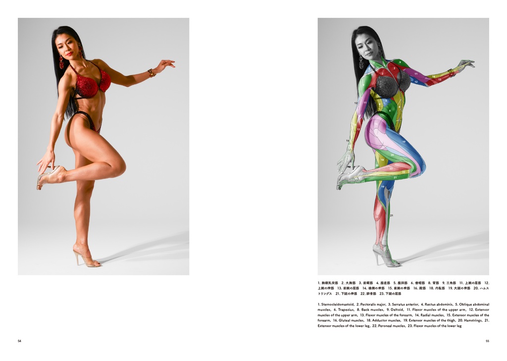 アーティストのための体表解剖学10(PDF)