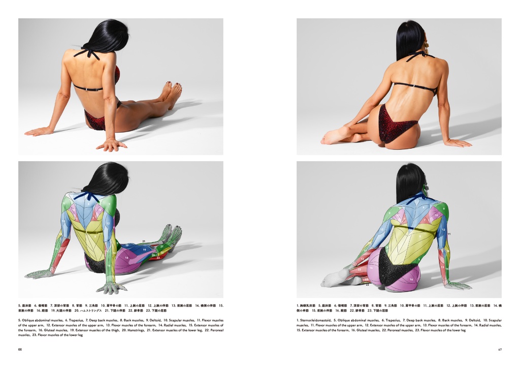 アーティストのための体表解剖学10(PDF)