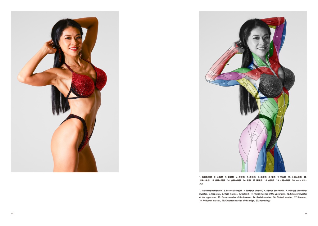 アーティストのための体表解剖学10(PDF)