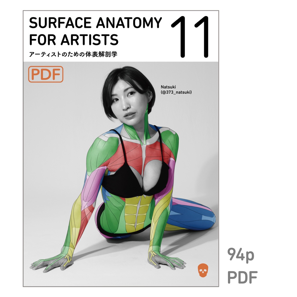 アーティストのための体表解剖学11(PDF)