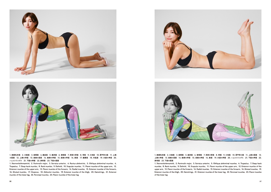 アーティストのための体表解剖学11(PDF)