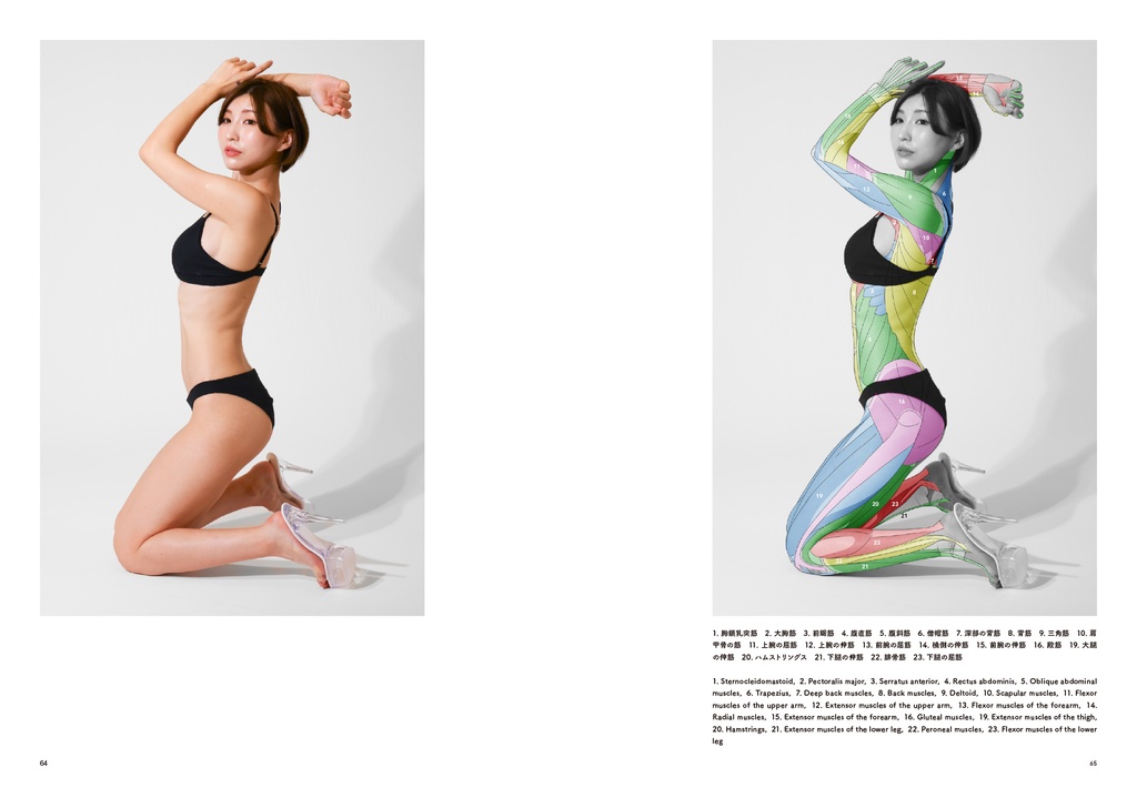 アーティストのための体表解剖学11(PDF)