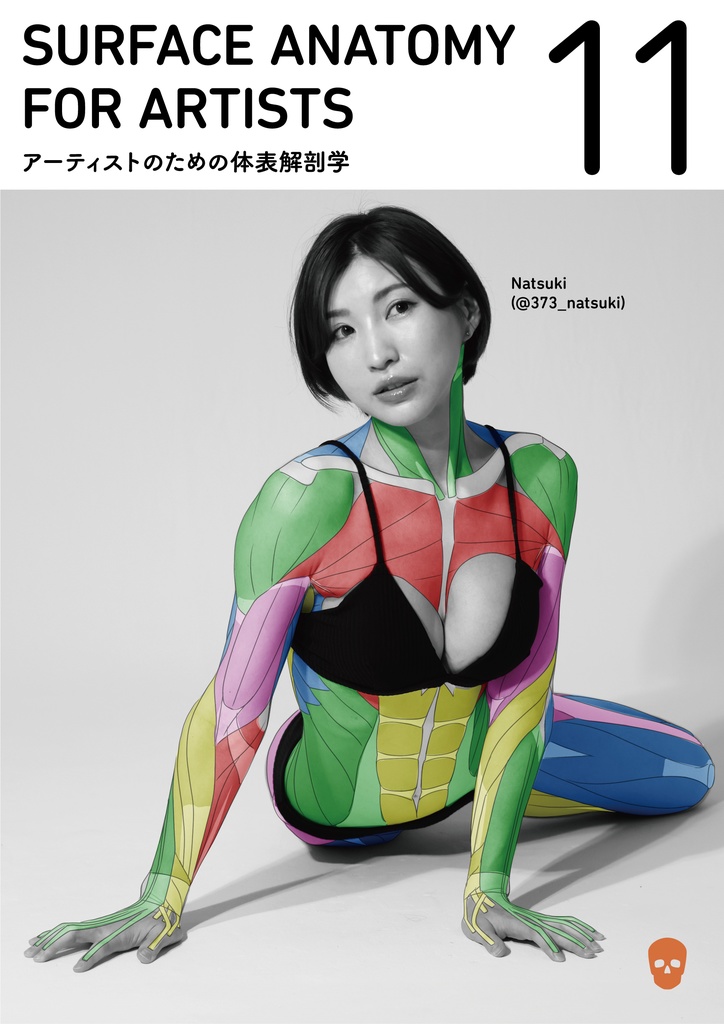 アーティストのための体表解剖学11(PDF)