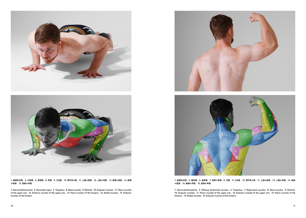 アーティストのための体表解剖学9(冊子)