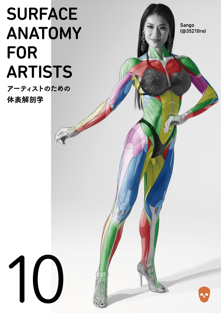 アーティストのための体表解剖学10 (冊子)