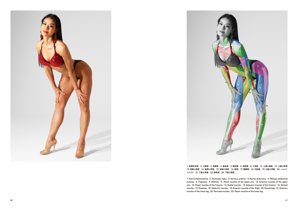 アーティストのための体表解剖学10 (冊子)