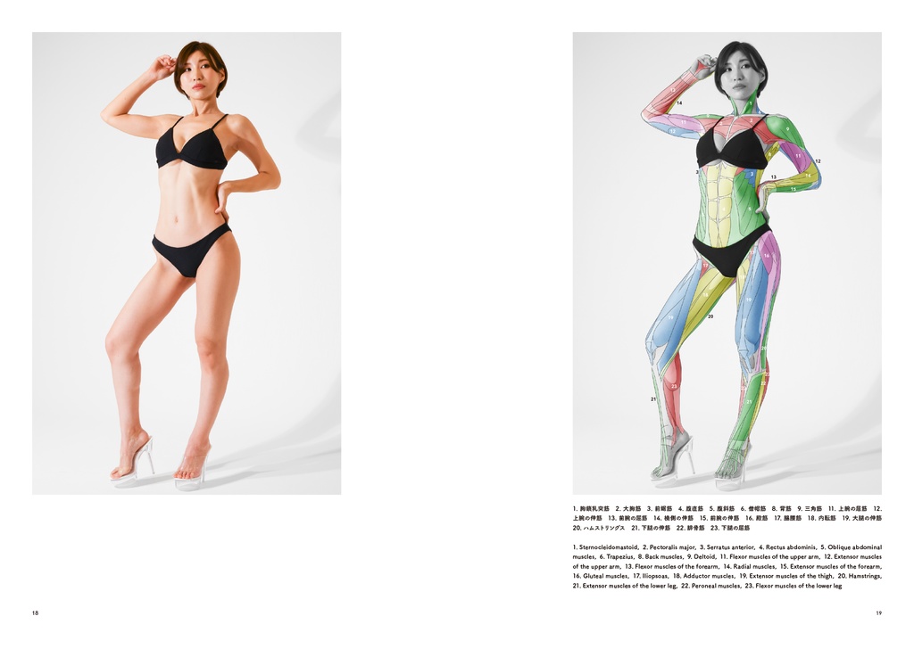 アーティストのための体表解剖学11(冊子)