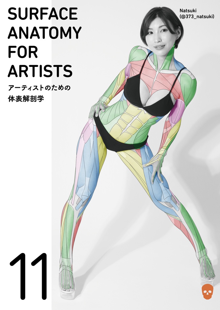 アーティストのための体表解剖学11(冊子)