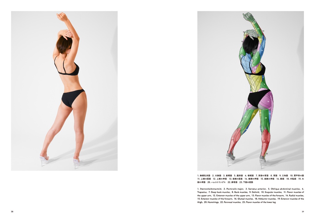 アーティストのための体表解剖学11(冊子)