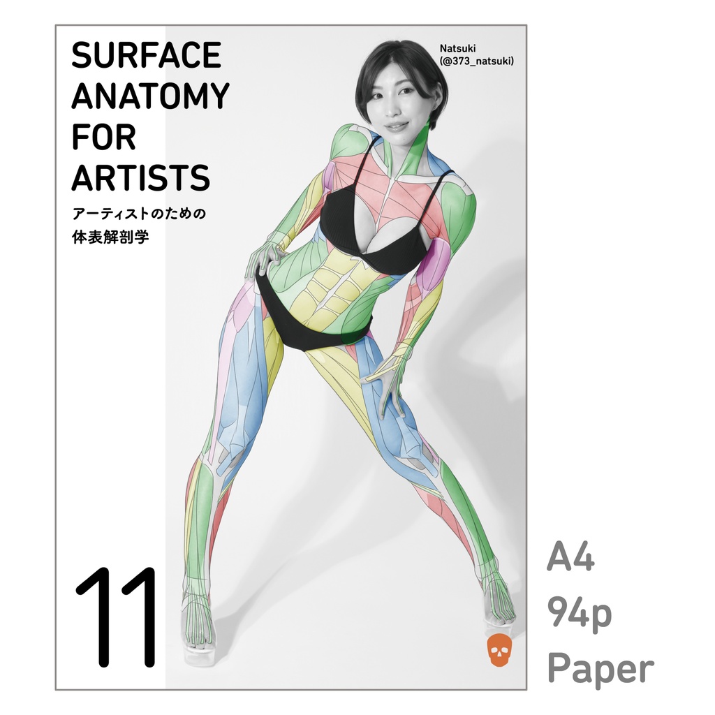 アーティストのための体表解剖学11（冊子）