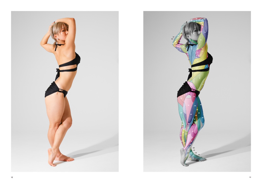 アーティストのための体表解剖学12(PDF)